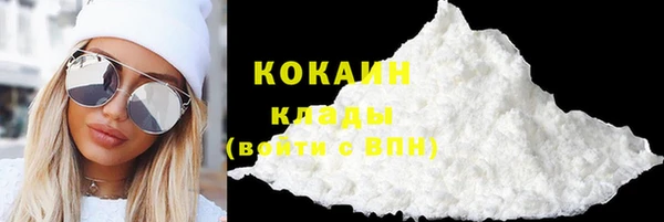 гидра Арсеньев