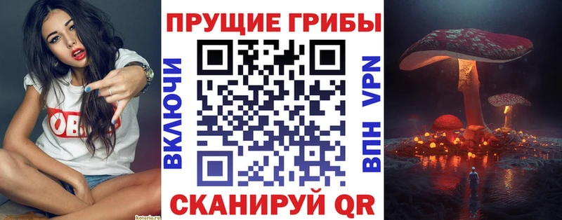 купить наркотики цена  Кирово-Чепецк  дарк нет официальный сайт  Галлюциногенные грибы прущие грибы 