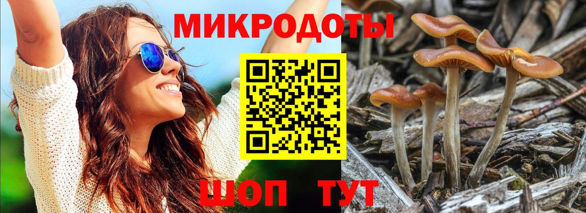 Галлюциногенные грибы MAGIC MUSHROOMS Кирово-Чепецк
